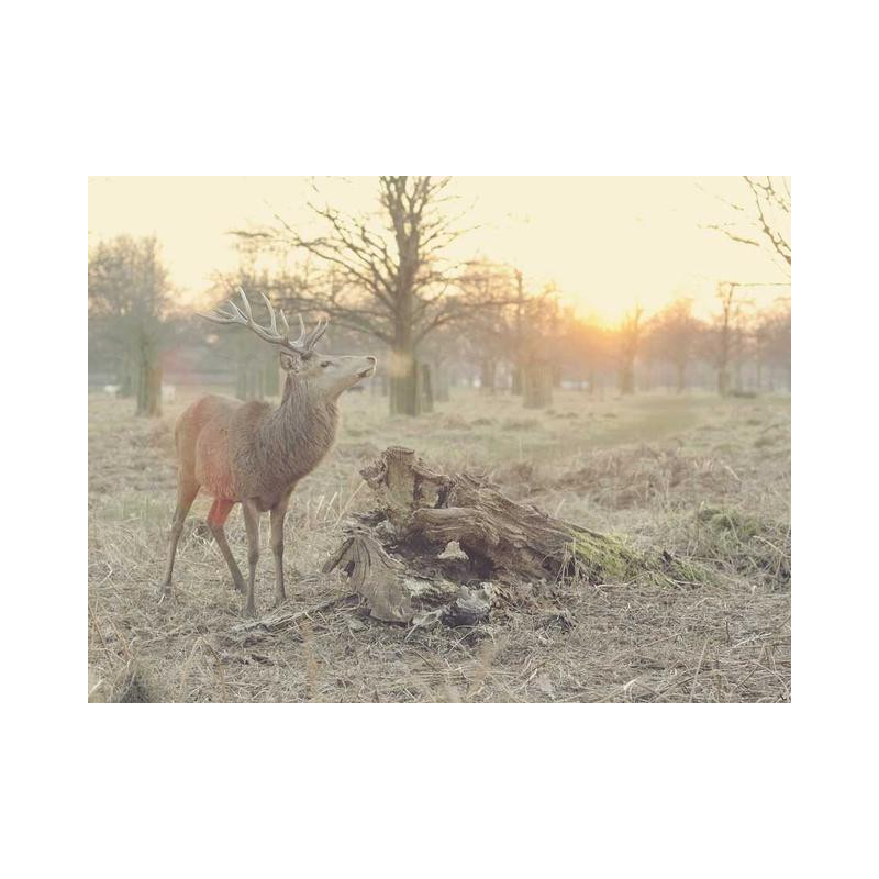 Small Steel Pants fr-FR